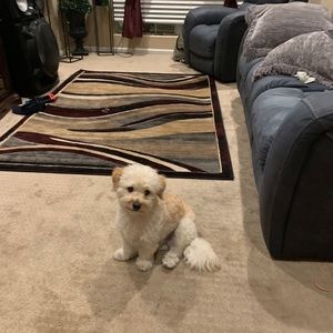 Meet your Posher, Alejandro